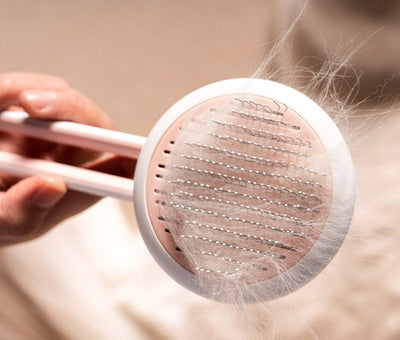 Pet  Massage Comb