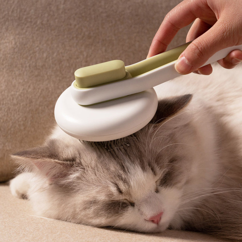 Pet  Massage Comb