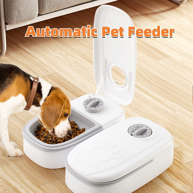 Pet Feeding Steel Bowl